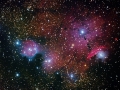 NGC6559